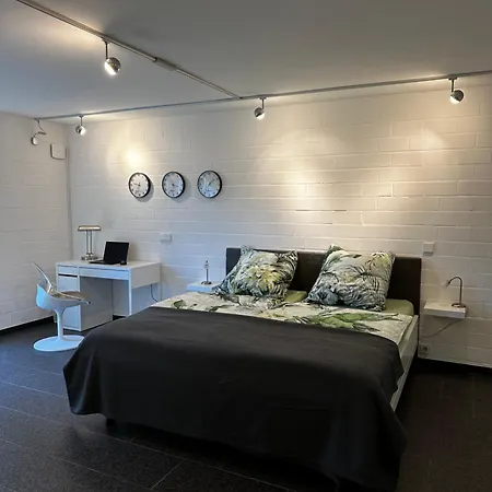 Gaeste-appartement 公寓 梅特曼